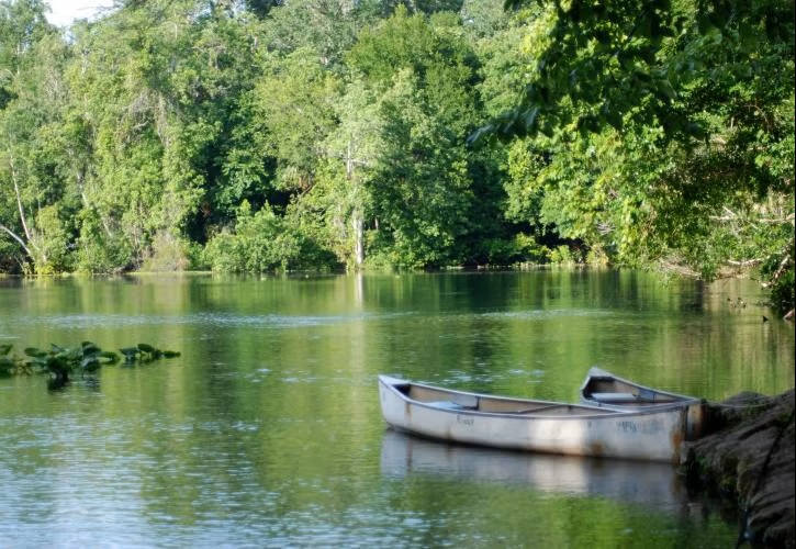 Lower_Wekiva_River_Preserve.jpg